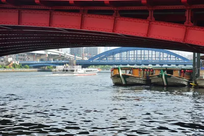 DSC_3450 (Large).JPG